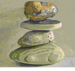 THE MINDFUL PRACTITIONER